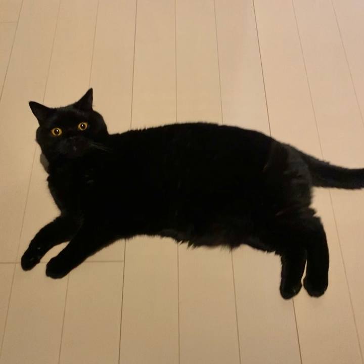 083ab30d 5ffd 4ffe 841a 81809ccd00bf 1628773062502