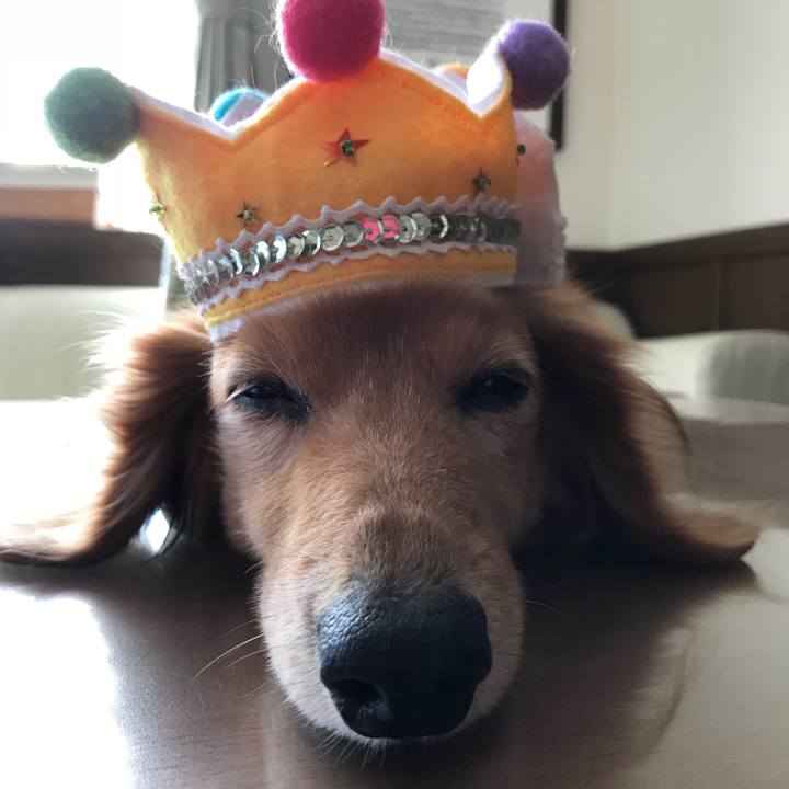 083ac7c0 d663 4331 b388 cf221159f5bd 1538109188387