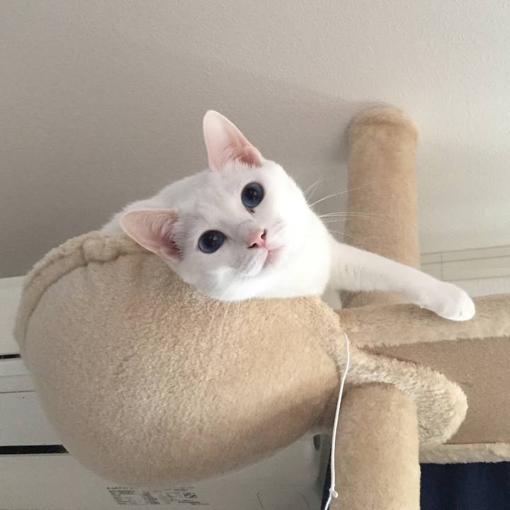 083af013 7627 4f53 a4c1 2bd99d680a99 1511566863083