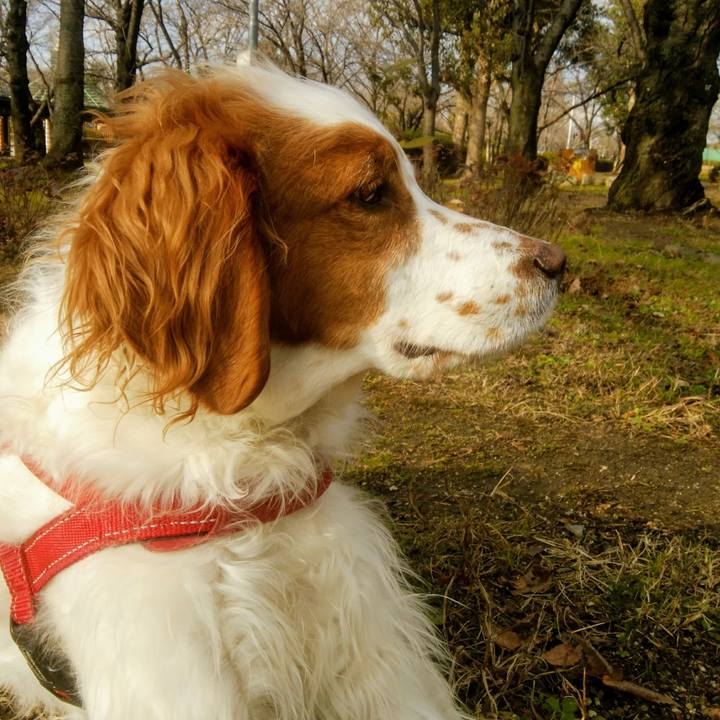 083b01f4 a387 42b4 9df8 e590fbfcad78 1549455241256