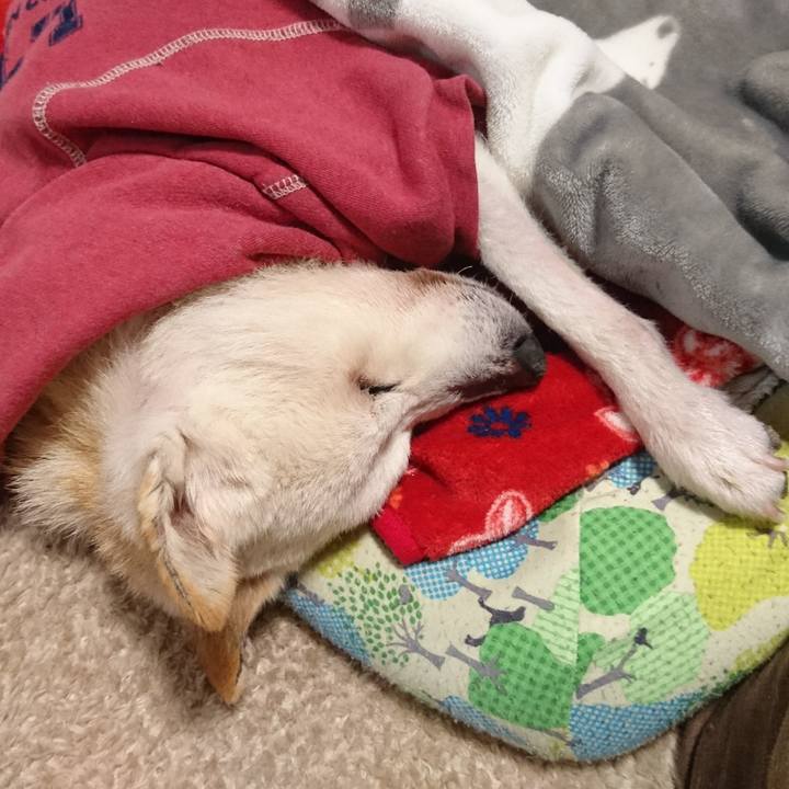 083b4556 5a00 45e0 8782 64dc5f4f9e09 1548672345986