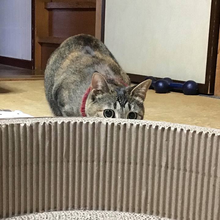 083b5095 900f 4628 9987 56b8a40ab328 1601796631300