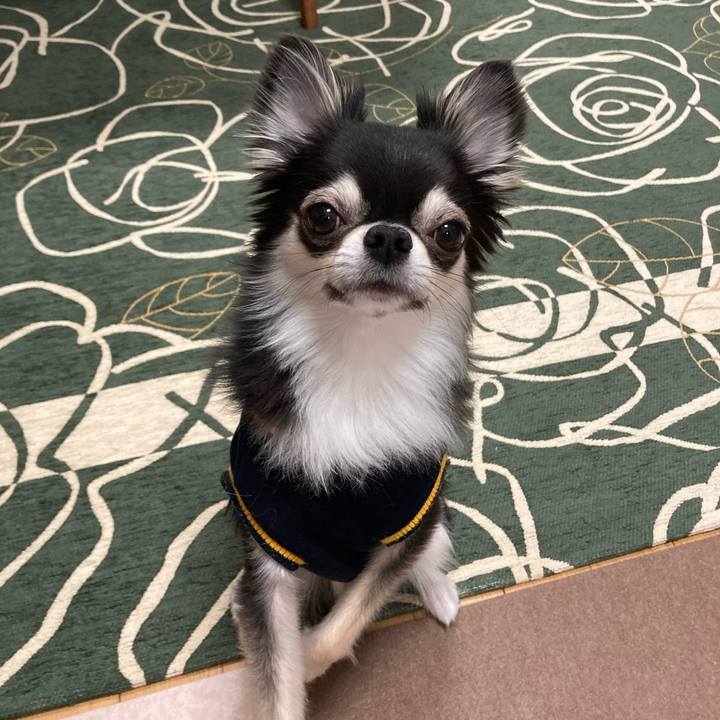 083b838a f6c3 4669 ac6f f5e0592b1cd8 1648300288781