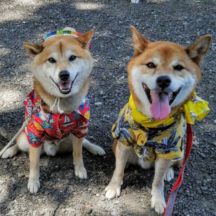 083bc561 e54b 47bf ade9 958760ab4687 1627197487820