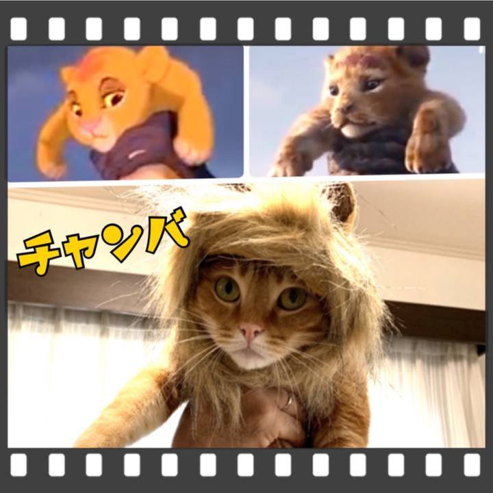 083c12d8 cf7d 421a 8a06 6fe796ddfd67 1672408916021