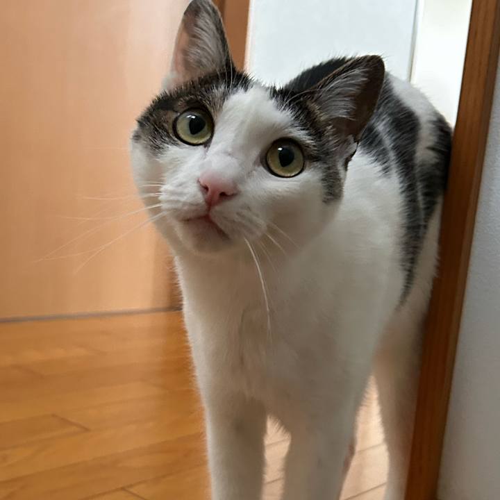 083c18ef e3d6 41d7 9bc1 a0aa1d09b8f1 1718231731238