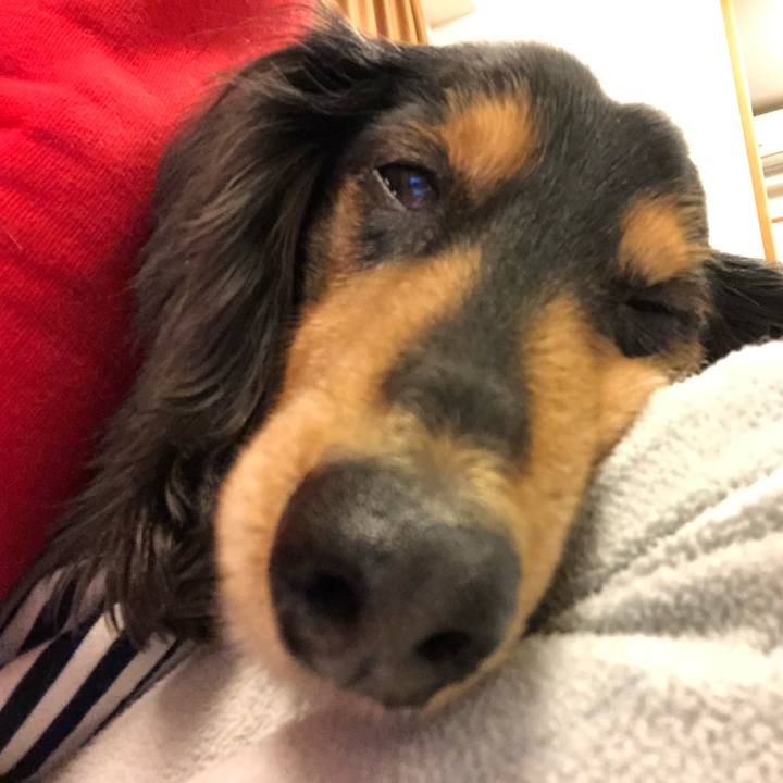 083c26e1 ecca 4fcc b0e6 a93c0c1c30c6 1549808882815