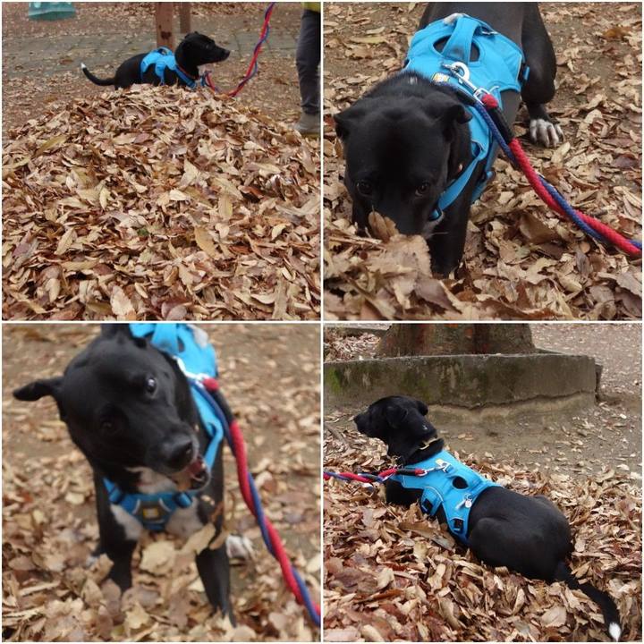 083c3a5b 03ba 411d 9140 7e972c485a03 1606955309372