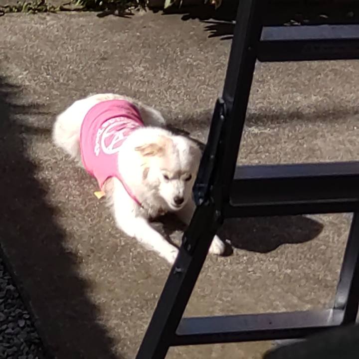 083c4ad1 85e1 42f9 9c33 29c5ff92b0cf 1641042597008