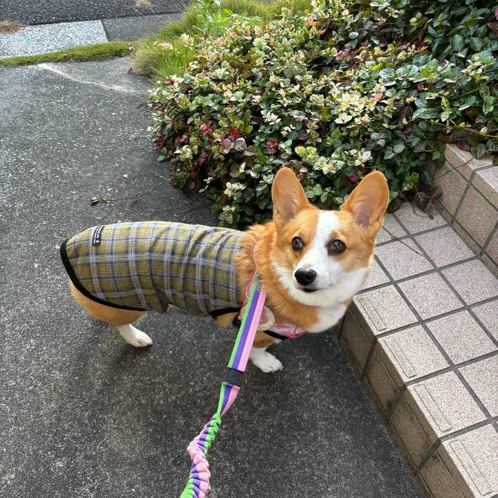 083c6552 b706 4029 a990 c22de0f05e6e 1760742324009