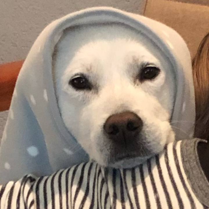 083c6803 db20 4584 8f90 4b42be437913 1589120387985