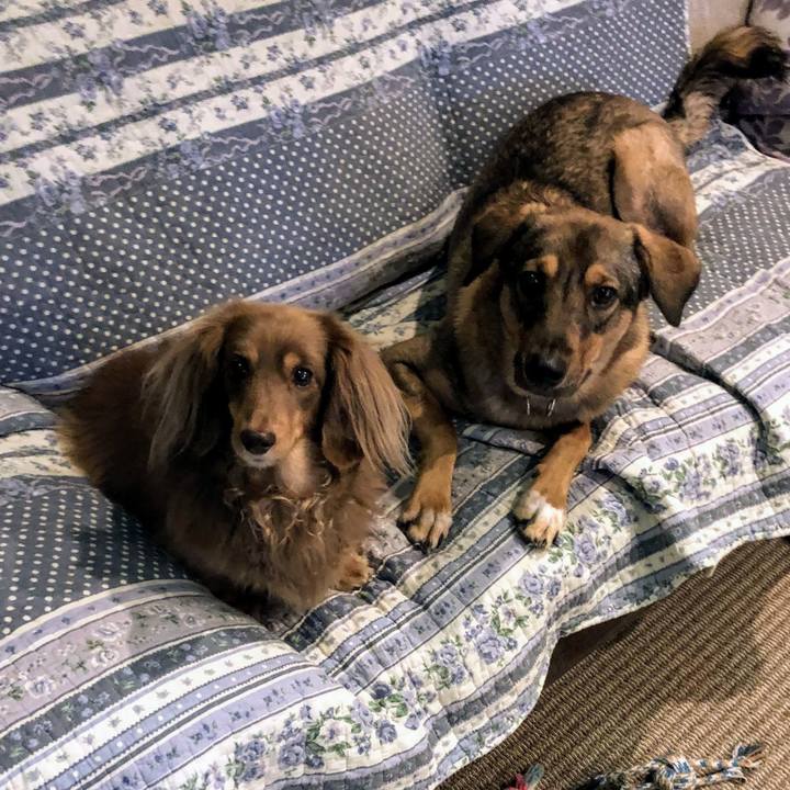 083c6a7a 3a70 4717 9e51 72ab01fe63ab 1701415609156