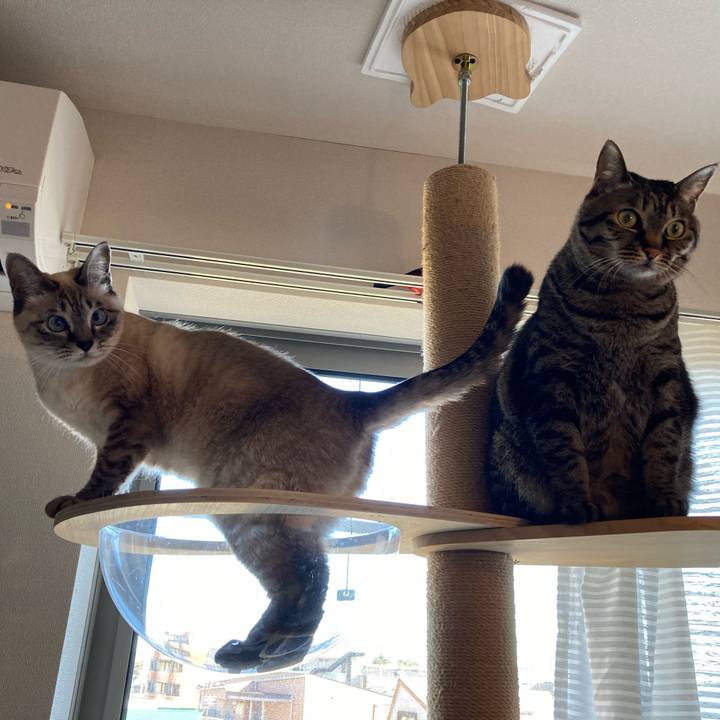 083c75a9 e0e4 4428 b97a 1821543f56a7 1641003164071