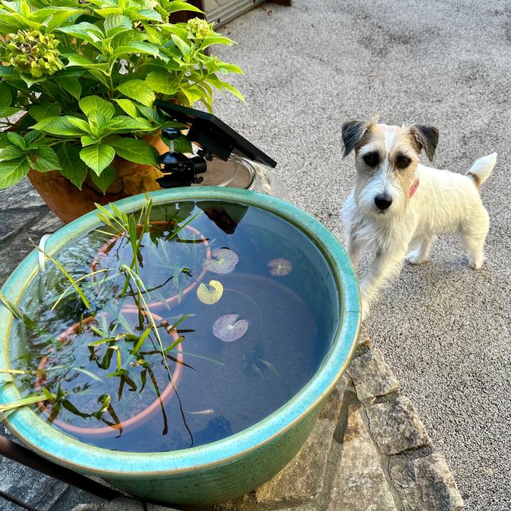 083d1029 6bd9 4708 b40a 49a692c4a1fb 1693360133862