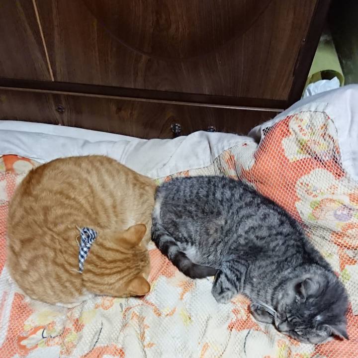 083d1711 714f 4e2f b60b 52ee0c285e57 1572439304753