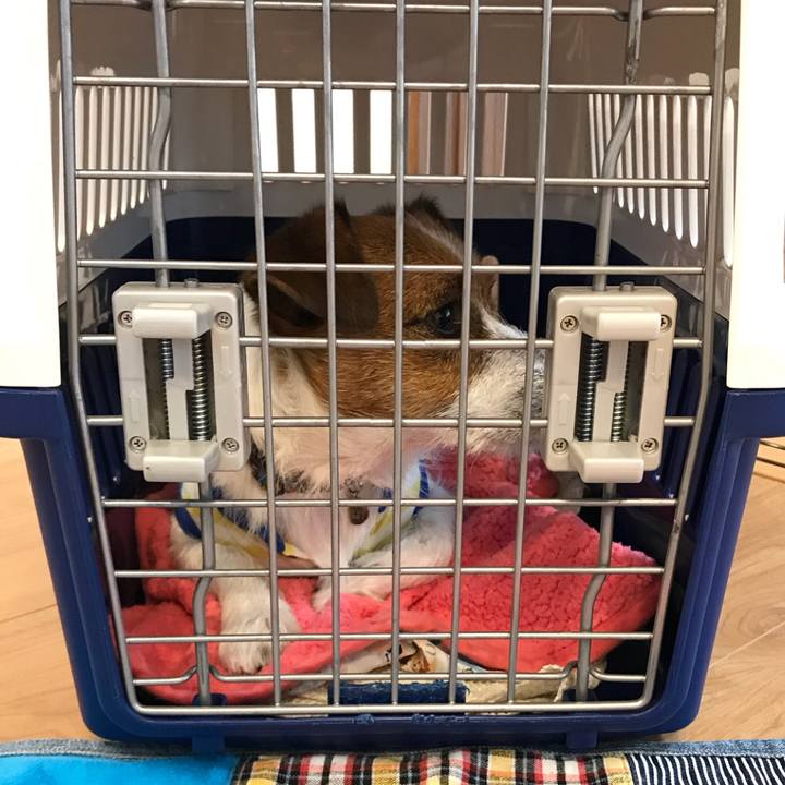 083d4811 9807 431f 959c 92c804995f74 1508505907855