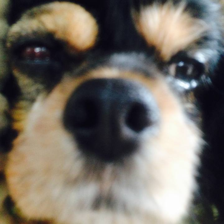 083d88c8 8a83 4810 bec8 e50839146945 1523978964715