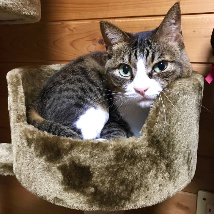 083dd2c8 bc22 490c 92e4 4112228d0274 1522322688037