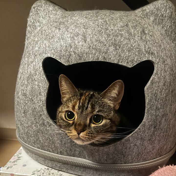 083e0433 4a66 48f0 b457 13459452e7c2 1734787967566