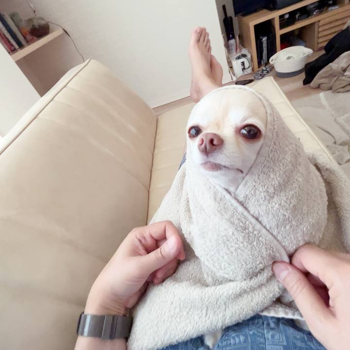 083e30e1 34a2 4045 b0ea bc466216afcd 1754188780780