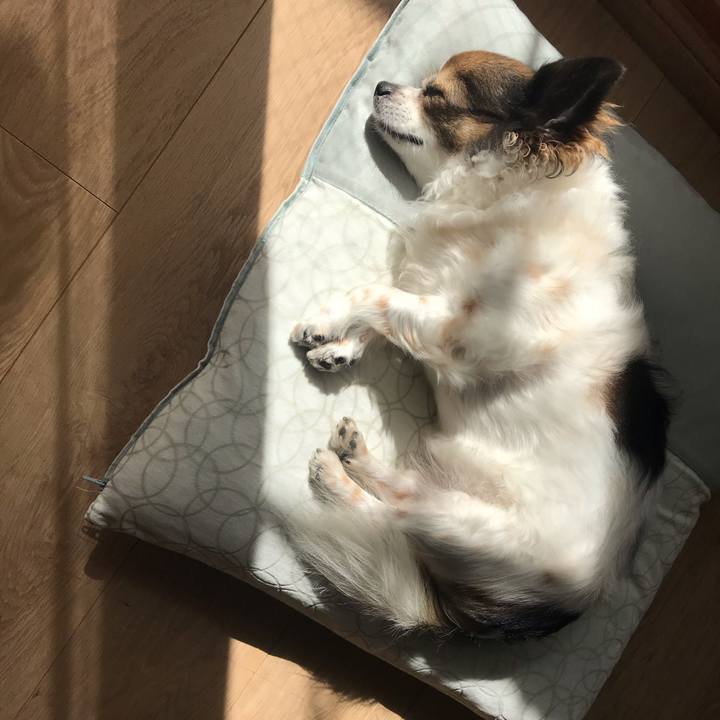 083e3bb8 6c6d 4903 b0db c8fad8d0d730 1603678094179