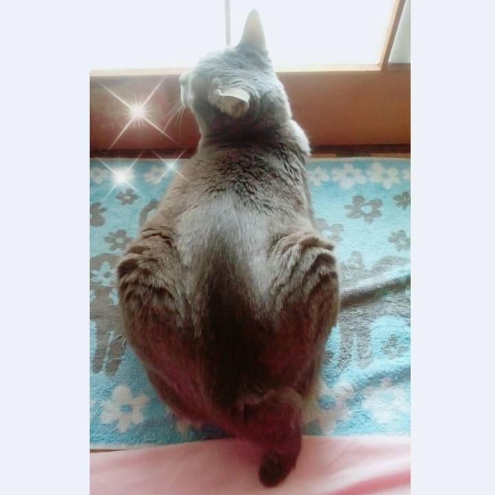 083e4f9c 8993 440d bed0 bdac16a3c7b3 1524030363220