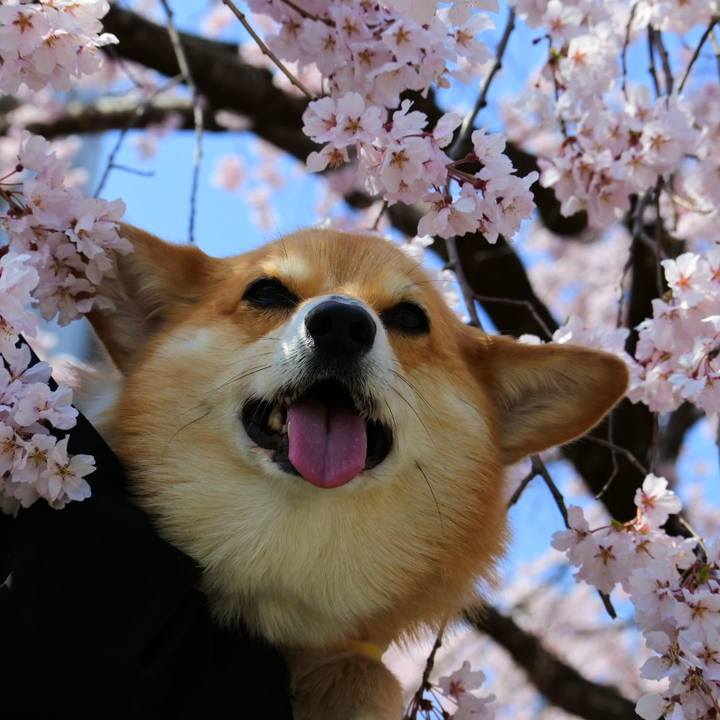 083e6b53 e6db 4293 985e 5a5503b6cd1a 1617458477731