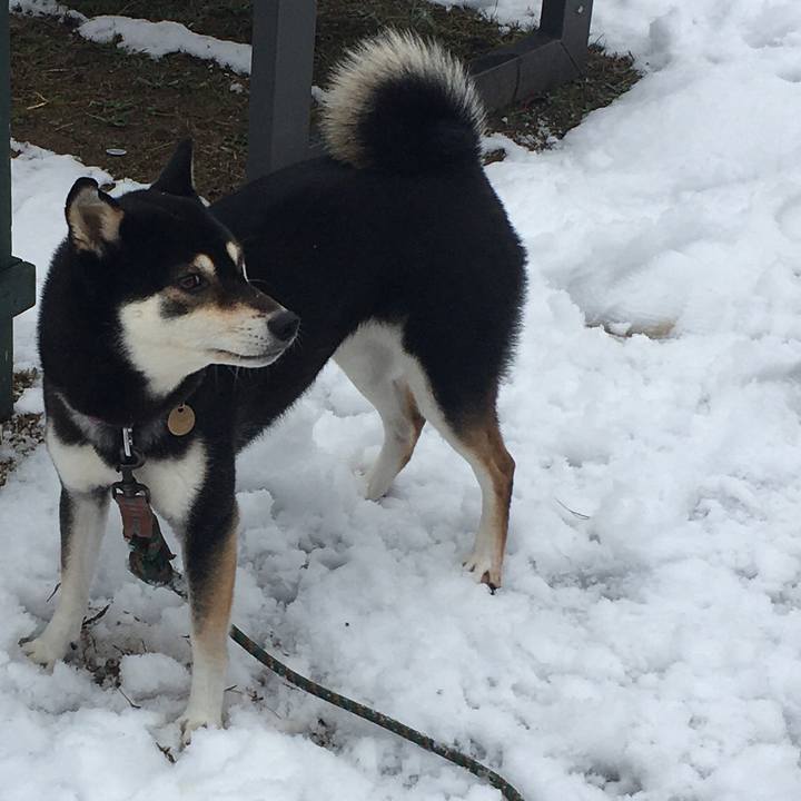 083e7646 a47c 4fbb be97 f0c89d253269 1608433105970