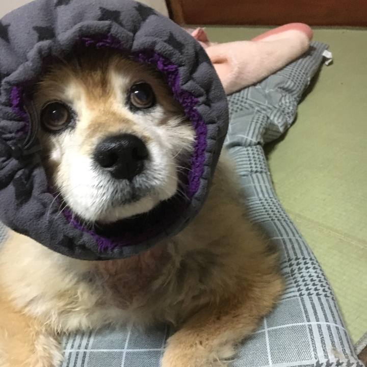 083e87be b2f0 4d58 bf65 b655e1af23d1 1554375327646