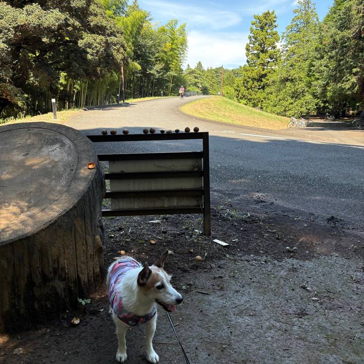 083e993e 928d 47fd a6c9 5b38e42b0d1e 1757474549836