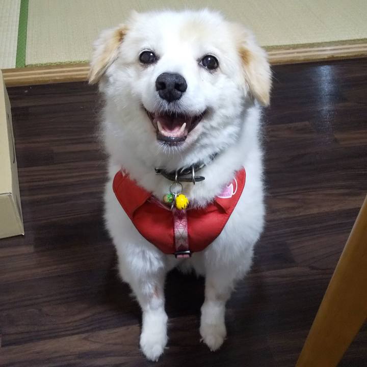 083ec2c5 0b12 463f 8aba f8b0f6e03843 1646709966214