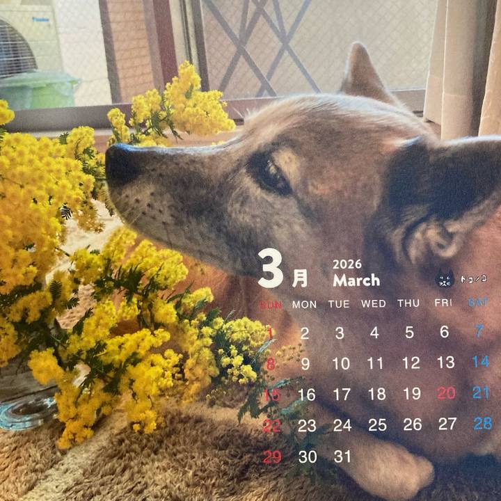 083ede49 f28e 4d0d b93c fd1b97d95ece 1772403944453