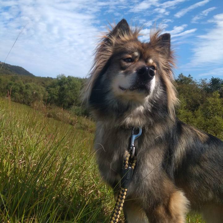 083f165b 8d71 497c b929 d7a25e358564 1603345505076