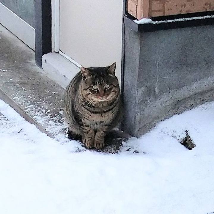 083f3cb1 b9c6 4c9a 914e 3322b9cdfd8e 1578822118745