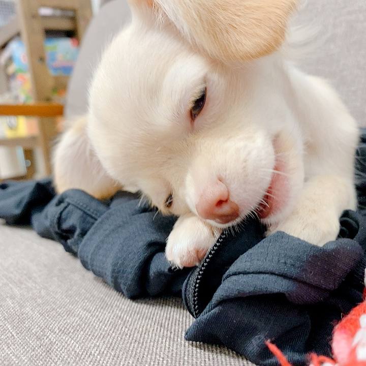 083f4753 c0ae 44b9 b3e5 a191a745e0a4 1592703299062