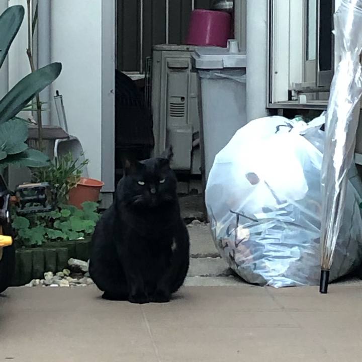 083f792d 1208 4377 9e99 74e94632f8a1 1544164210802