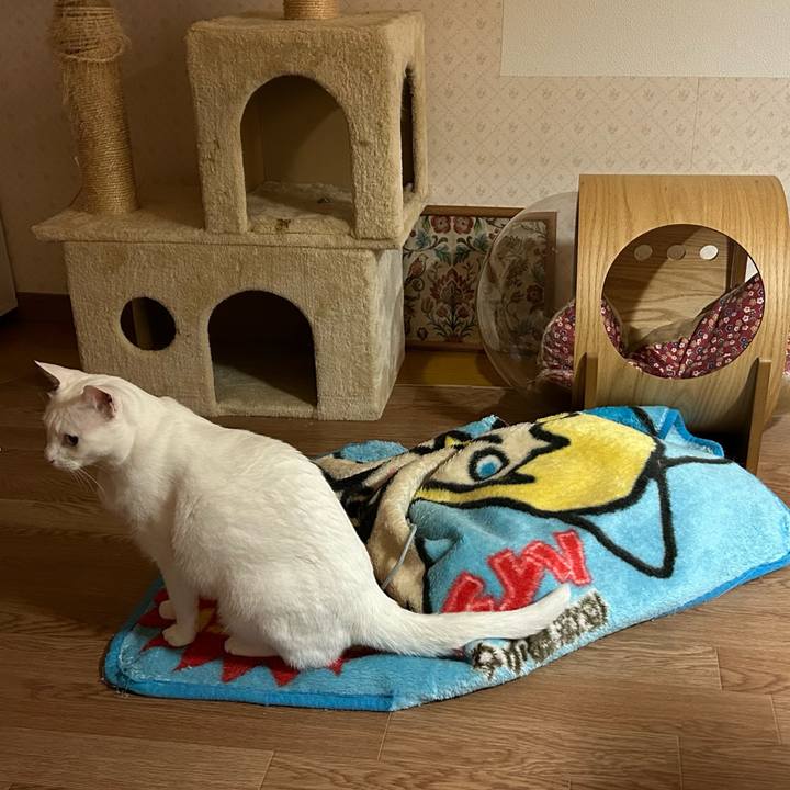 083f93a6 a278 4faa 8146 e10a486832a1 1676322502283