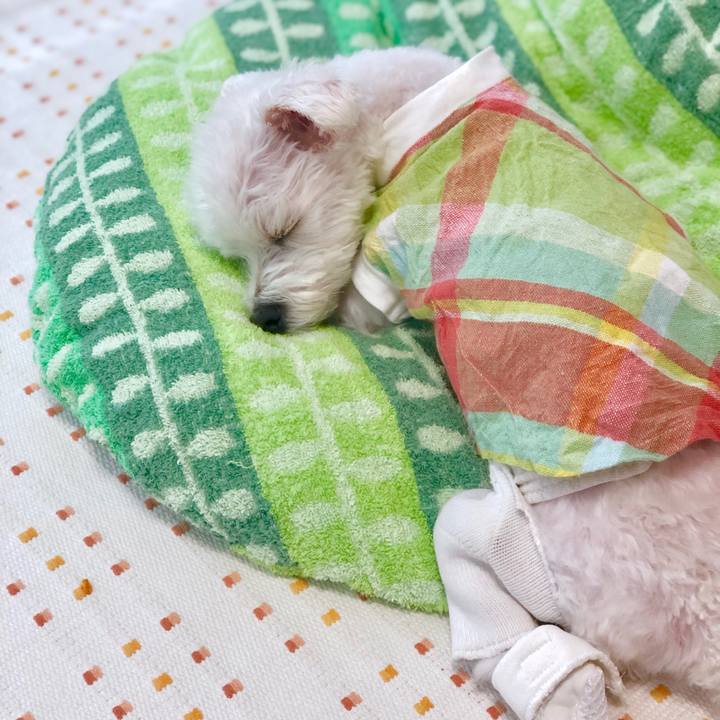 083fdce1 f901 464c 82e1 147dab580da2 1563057493849