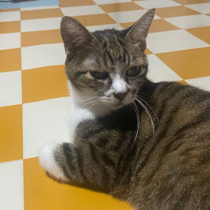 084001a3 fb54 41a0 8d36 9a86c640bc13 1725377957015