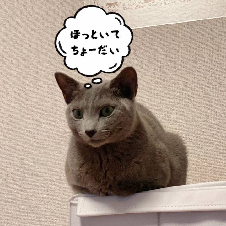 08401ac2 3317 4702 93e0 5620bc4ef777 1637908704528