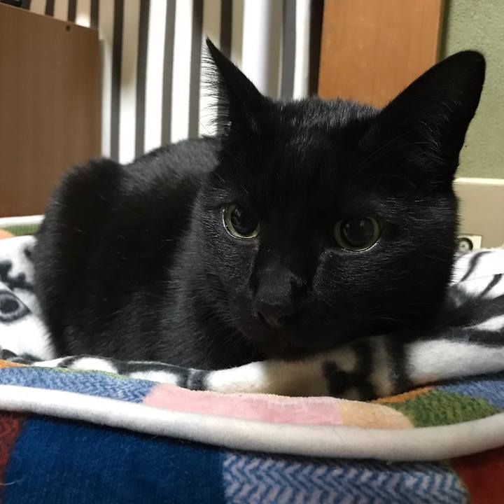 08401c7a 3688 4139 9e43 9b127e62554a 1517794868974