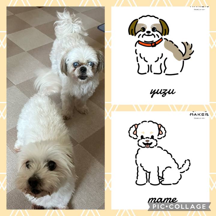 08406b03 1859 4f73 850e 547c9e528b85 1723706923628