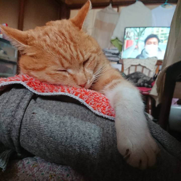 0840b968 af46 4015 a637 3ebf3c3d7d8c 1581118205637