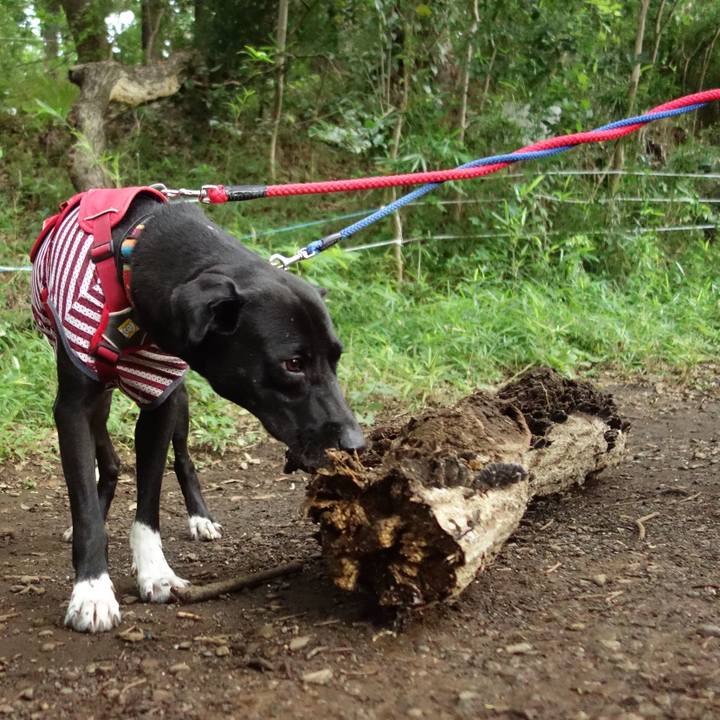 0840ba5a d1a4 4da0 9324 df5f4bc8af00 1594424670063