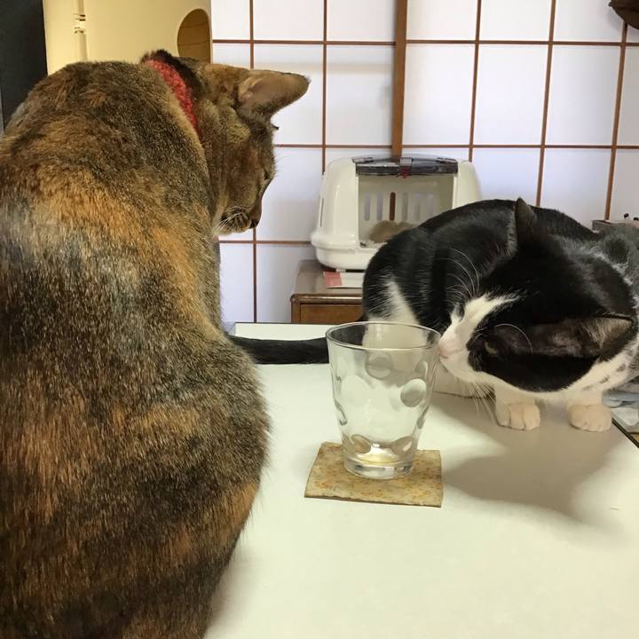 08410f81 0104 4544 aae8 943c7bf27578 1642809869267