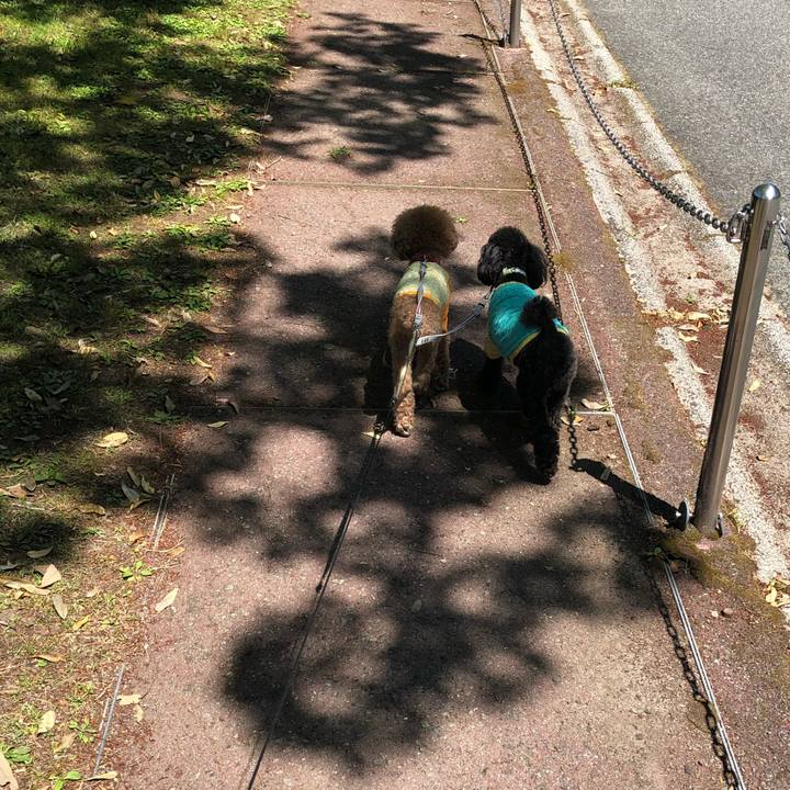 08411dd1 da4d 42b3 9d5a 2a3ca71162ee 1588931301705