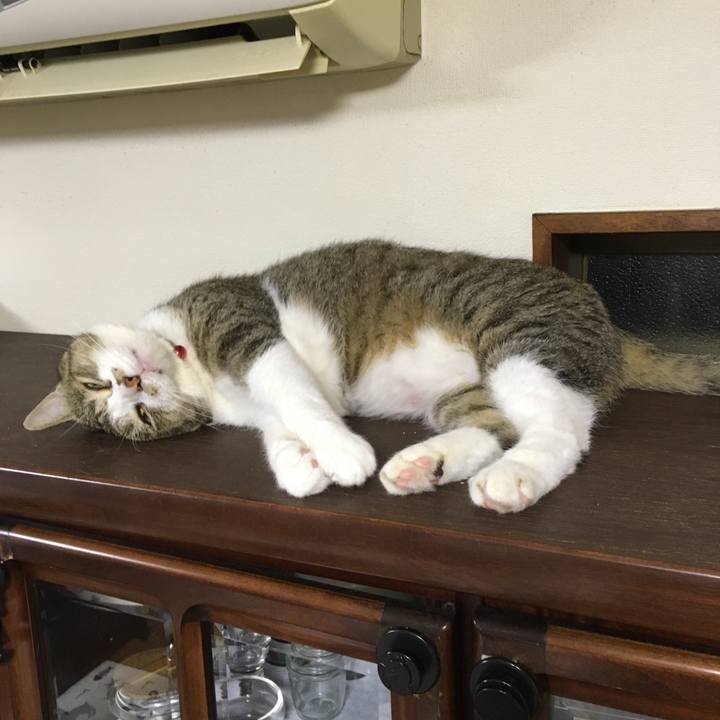 084134b0 25f5 4a72 82b4 87b6cd6cb244 1530244596174