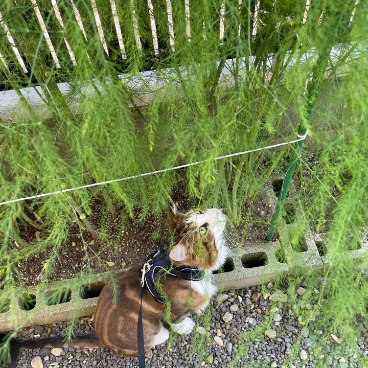 0841411c b249 45b9 a23f 4b06c35fd25b 1660478802018