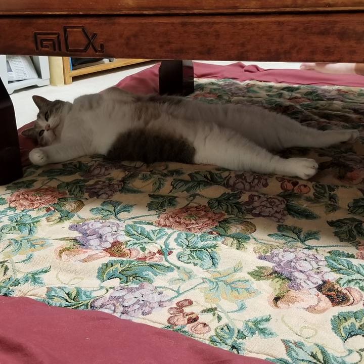 0841515f a19d 4e96 bf65 291065207b30 1566740573543