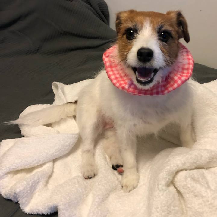 084157fc 8add 452e a8fc ab25be51e9bd 1584830490627